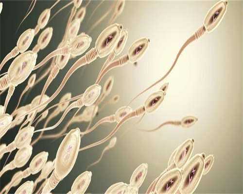 找捐卵代孕机构,不孕与卵巢早衰常有发生!女性不排卵常具这5大危害