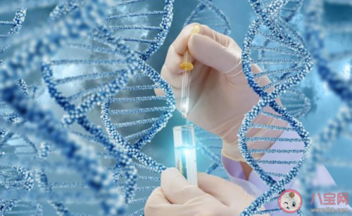 黑豆是碱性备孕期间多吃可以生儿子吗？