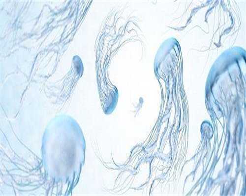 靠谱试管供卵代孕_私立医院试管选男孩,克罗米芬一次吃几颗比较好?