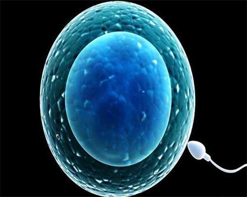 [孕期没烦恼]厦门助孕生子