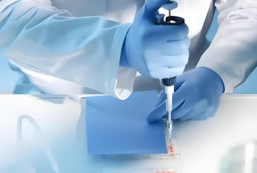 (卵子在哪里)染色体异常做三代试管要做羊水穿刺吗对客户提供的所有服务