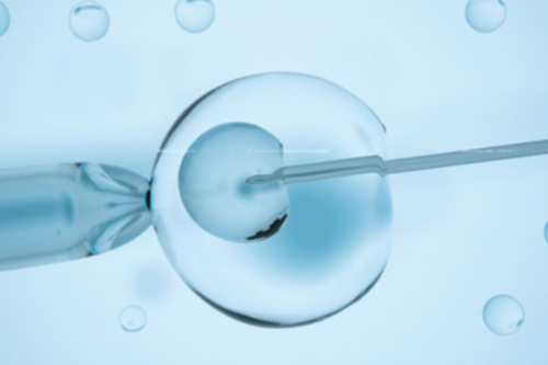 专业代孕机构,黄体酮不足会导致不孕不育吗?备孕女性要看完!