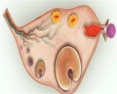 南京三代试管婴儿的费用高吗，江苏三代试管婴儿医院共7家，南京鼓楼医院只