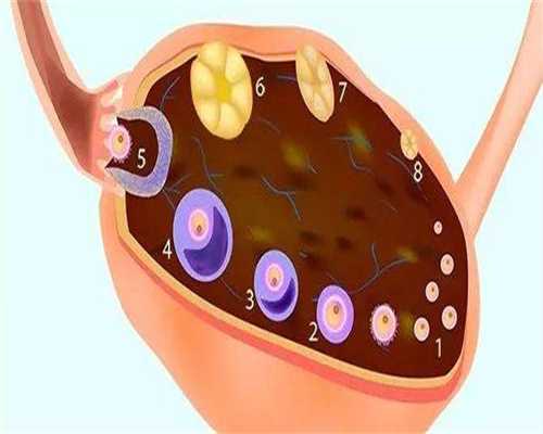 阿奇霉素对孕妇和胎儿有何影响？孕妇贫血对胎儿有何影响？