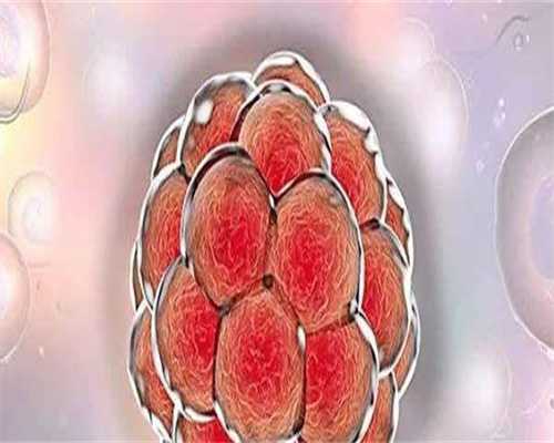 备孕期间正确吃黑豆有助于怀男孩吗？