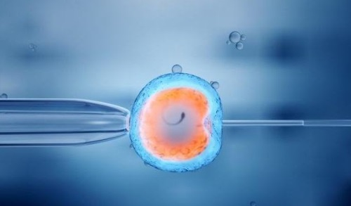 供卵价钱表&怀孕刚着床的6个反应，受精卵着床需要几天