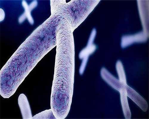 国内哪里供卵快些_正规代孕公司怎么找,3代试管移植后胚胎着床时间有差异怎么