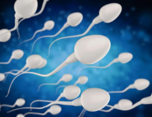 借卵助孕公司:兰州三代试管助孕医院