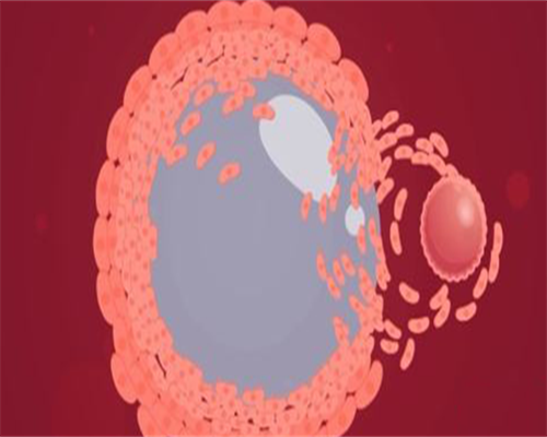代孕那家公司好_供卵代孕医生哪里的,西宁三代试管移植着床率?试管第三代一