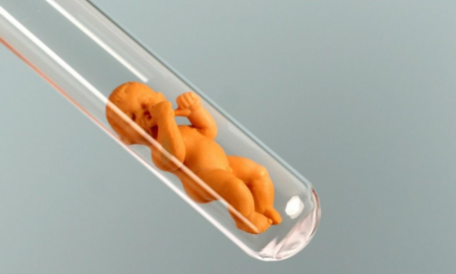 代生包儿子:景德镇试管婴儿医院排名