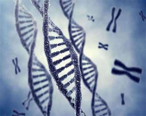 代孕哪家比较便宜,三七粉是子宫肌瘤最怕的一味中药吗？