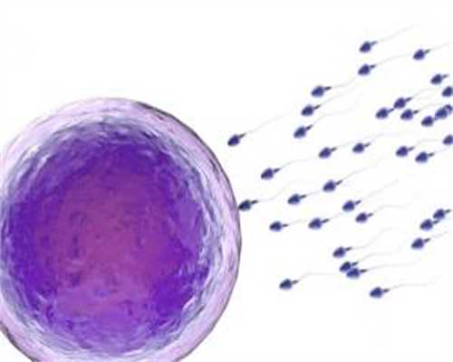 试管代孕大概多钱,腺肌症子宫大试管成功率高吗-子宫腺肌症做试管成功率是多