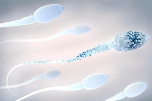 代怀生男孩&受精卵着床反应