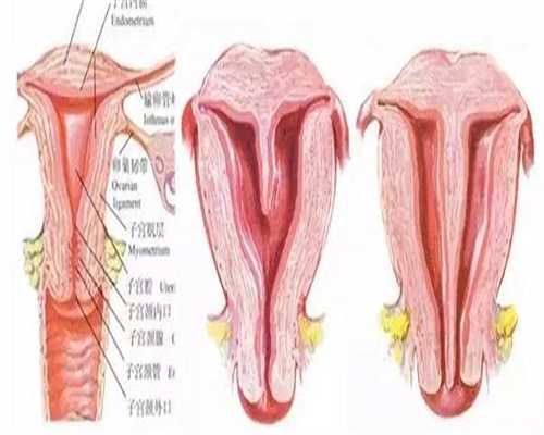 代生儿子收费:坐月子五红汤怎么喝才好，天天喝未必效果更好