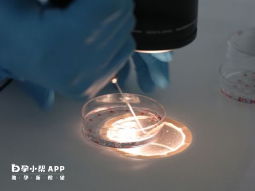 试管婴儿移植胚胎后注意事项试管移植后注意事项才能*率高胚胎移植