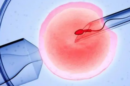 供卵试管代孕男孩费用_哪里有靠谱代孕中心,乌鲁木齐三代试管移植着床率