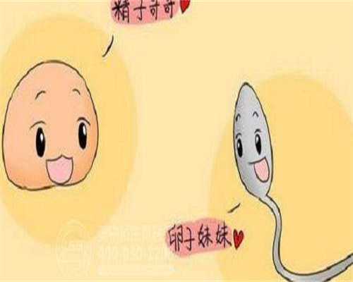 国内有洗精的医院吗_单身供卵试管代孕,生殖专家建议：试管移植后一周，用这