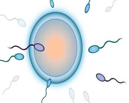 试管婴儿手术移植过程最为关键