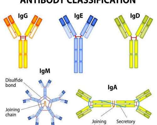南京恩泰供卵试管好吗,南京鼓楼医院有卵子库吗?附江苏供卵试管生男孩热门