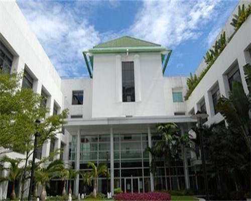 代孕供卵试管&多囊卵巢高雄激素症如何治疗?