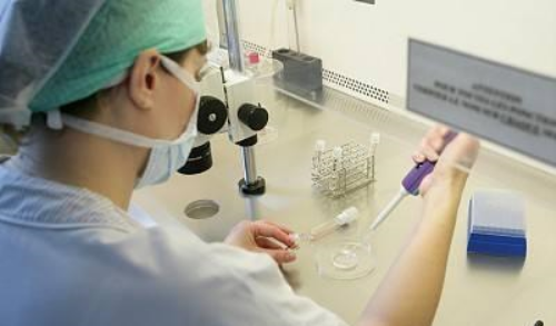 供卵增卵机构:为什么不建议孕妇手捂载体？怀孕期间睡眠姿势有何注意事项？