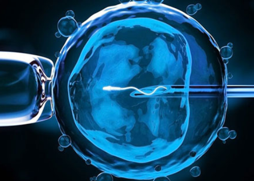 苏州第三代试管婴儿技术，优生优育！