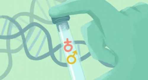 代孕试管成功案例,卵巢囊肿影响试管婴儿排卵医治吗?