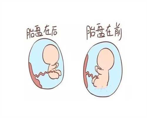 试管代怀孕:阿奇霉素对胎儿有影响吗