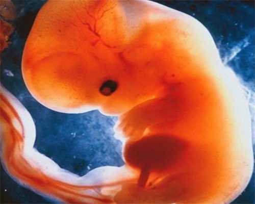 <strong>代怀价格表:徐州三代试管婴儿多少钱</strong>