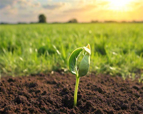 做三代试管要多久才能移植_，成都试管费用价格表成都妇幼试管费用？